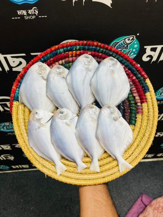 Silver Pomfret Belly Clean & Dressed (Size: 6-8 pcs) kg