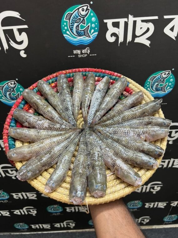River Baila Fish – Belly‑Cleaned & Dressed (15‑20 pcs/kg)