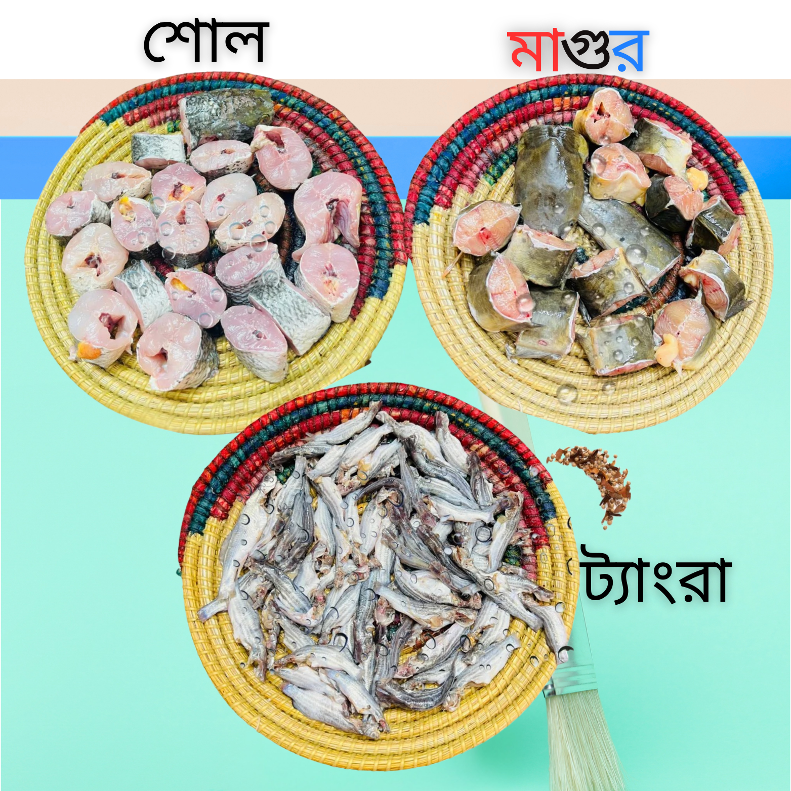 Family Package Combo 06 (Shol- 500.gm+ Magur – 500.gm+ Tengra– 500.gm)