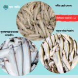 বেলে–কাজলি–পিয়ালি কম্বো প্যাক (ফ্রেশ দেশি মাছ