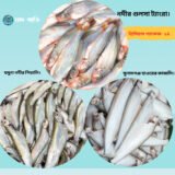 গুলশা–পিয়ালি–কাজলি কম্বো প্যাক (ফ্রেশ দেশি মাছ)