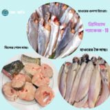 প্রিমিয়াম প্যাকেজ 19  – গুলসা, ট্যাংরা, শোল ও শিং