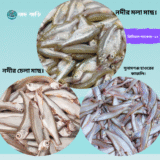 চেলা–মলা–কাজলি সিগনেচার কম্বো (দেশি ছোট মাছ)