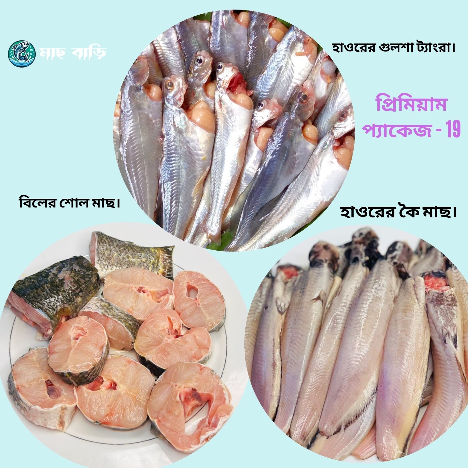 প্রিমিয়াম প্যাকেজ 19 – গুলসা, ট্যাংরা, শোল ও শিং