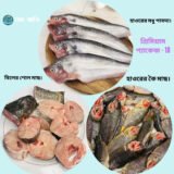 প্রিমিয়াম প্যাকেজ 18 – পাবদা, কৈ ও শোল