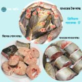 প্যাকেজ ১৭ – কৈ, শোল ও মাগুর