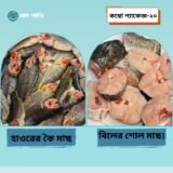 হাওরের  কৈ + শোল (১ কেজি) — রেডি টু কুক হাওরের তাজা মাছ | মূল্য ৳৯৮০