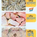 নদীর হাফ কেজি কাতল, হাফ কেজি চিংড়ি, হাফ কেজি রুই।