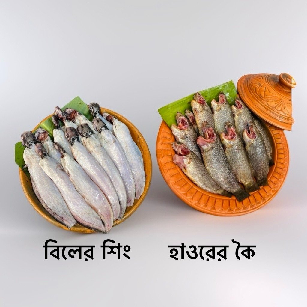 প্যাকেজ–২১: হাফ শিং + হাফ কৈ (১ কেজি) — রেডি টু কুক হাওরের তাজা মাছ