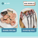 প্যাকেজ–২৩: পাবদা + শোল (১ কেজি) — রেডি টু কুক হাওরের তাজা মাছ